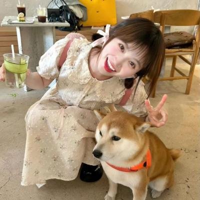 雏菊